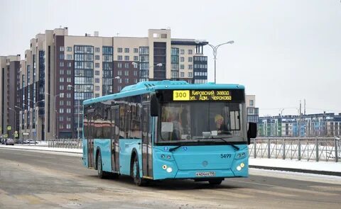 Автобус 65 спб