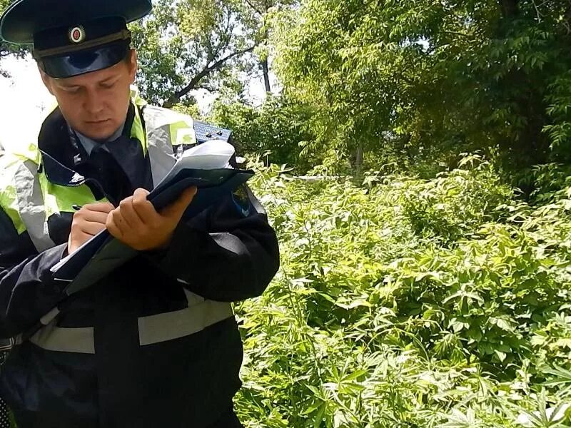 Полиция Славгород Алтайский край. Полиция незаконная рубка. Сотрудники полиции города Славгорода. Полиция город Славгород. Славгородский суд алтайского края