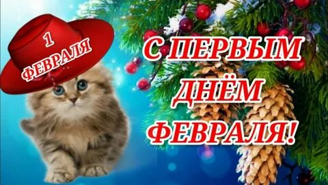 С 1 февраля участок