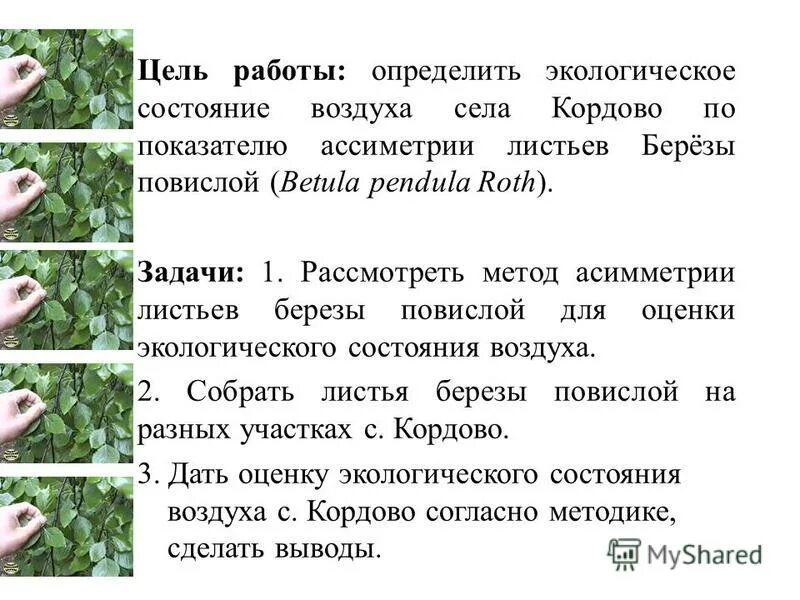 Нарушение сознания. Состояние объекта. Что влияет на качество жизни. Вещество явление. Экологическа ябезопастнолсть.
