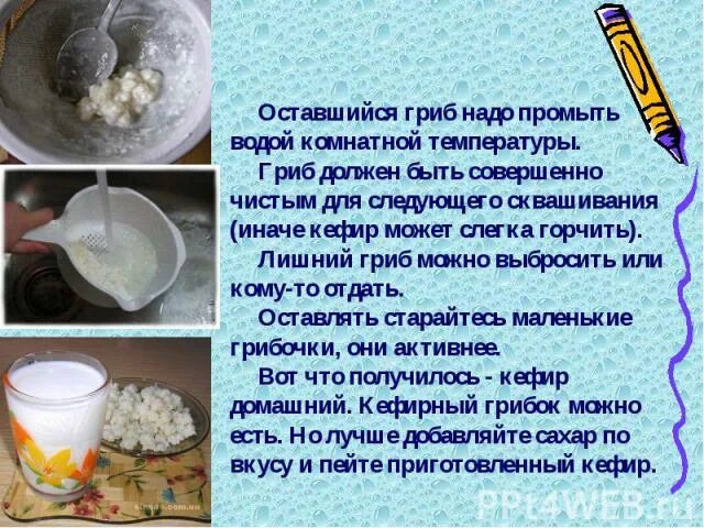 Можно ли пить кефир при отравлении. Чем полезен молочный гриб. кефир из гриба. тибетский молочный гриб. молочный гриб противопоказания.