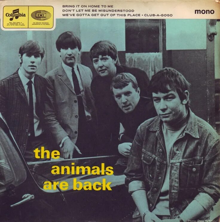 Think the animals. Группа the animals. animals альбом. группа энималс альбомы. the animals обложка.