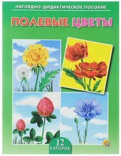 Дидактический наглядный материал для детей