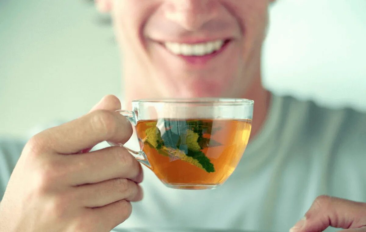 Мужчина с чаем. Мужчина пьет чай. Человек пьет зеленый чай. Чай с мятой. Чай влияющий на потенцию