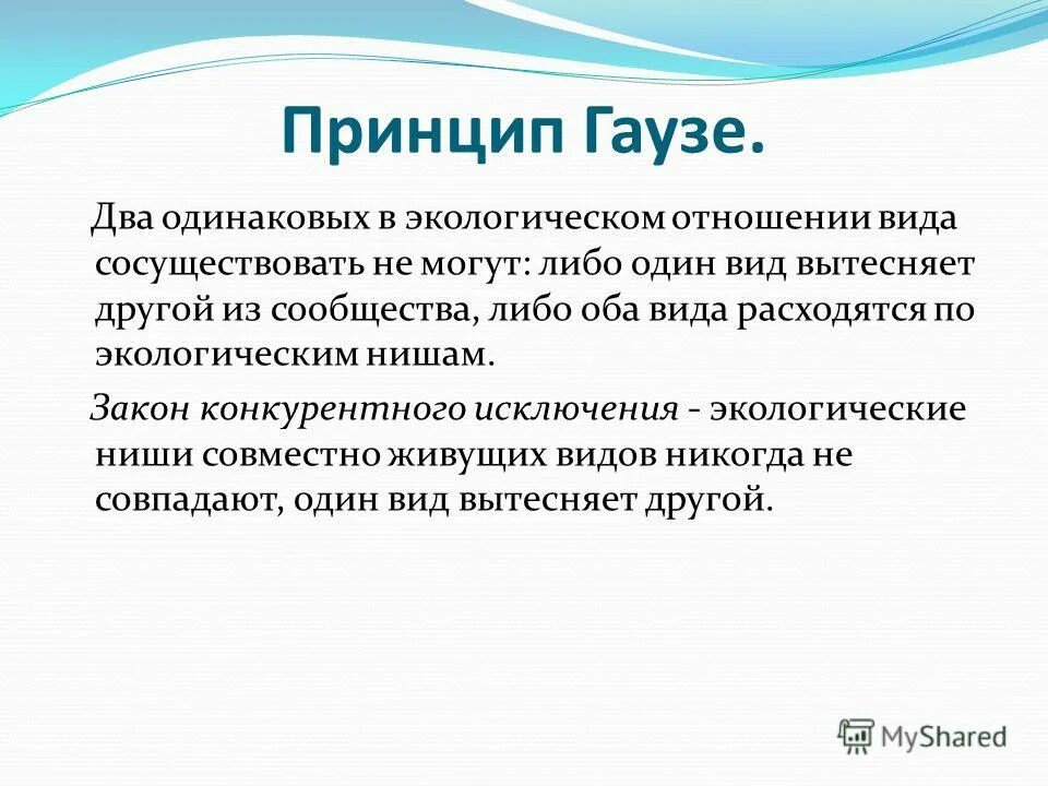 Закон минимума: успешная жизнедеятельность. Принцип конкурентного исключения