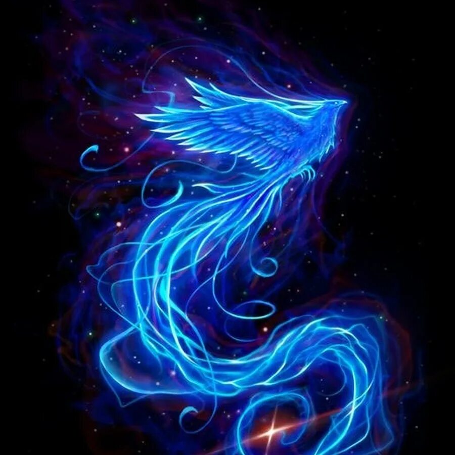 Галактическая птица. Голубой Феникс. Синяя птица Феникс. Птица Феникс. Волшебная птица.