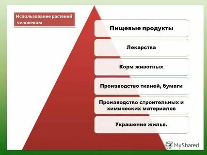 Виды эксплуатации людей