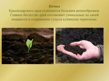 Плодородие почв краснодарский край