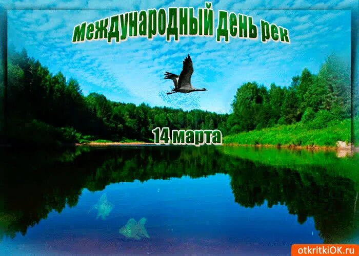 Международный день рек поздравления. Международный день рек открытка.