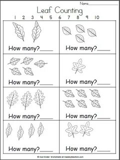 Leaves worksheets
