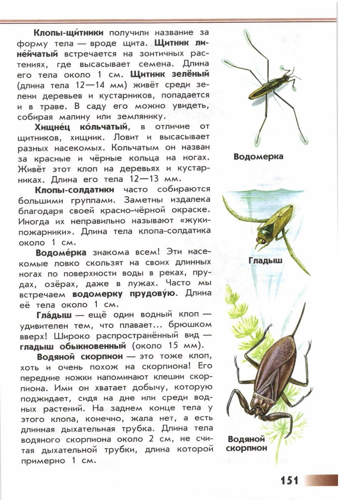 Проект мой атлас определитель 4 класс От земли до неба. Атлас-определитель Плешаков Андрей Анатольевич купить в инте