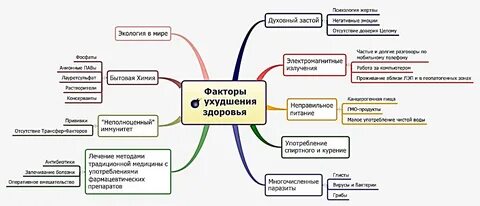 Принципы ментальной устойчивости