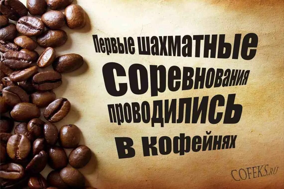 Лучший кофе на дороге отхлебнешь. Слоганы про кофе. интересные факты о кофе. лозунги про кофе. девиз про кофе.