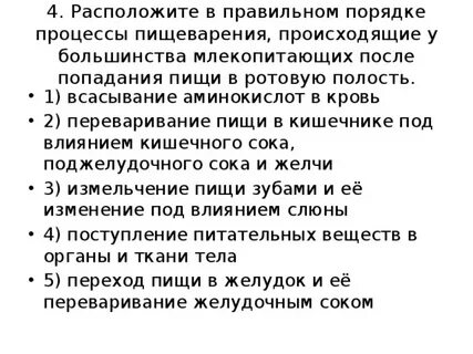 Порядок попадать