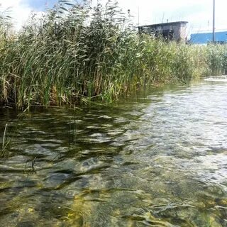 Малый кременкуль