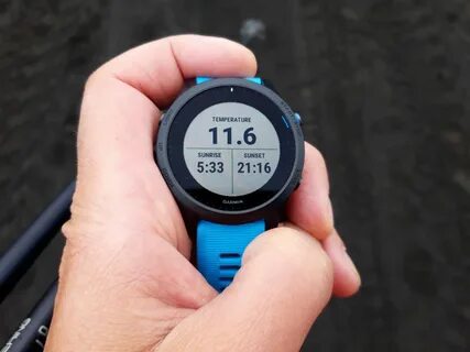 Forerunner 55