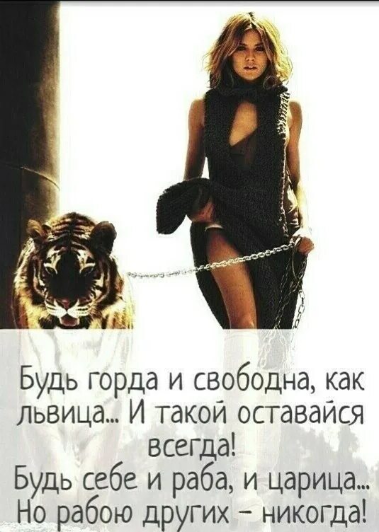 Так тебе и надо девушка