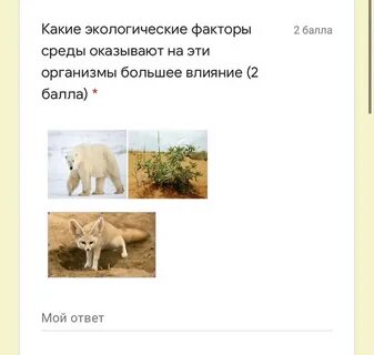 Тест по биологии факторы среды