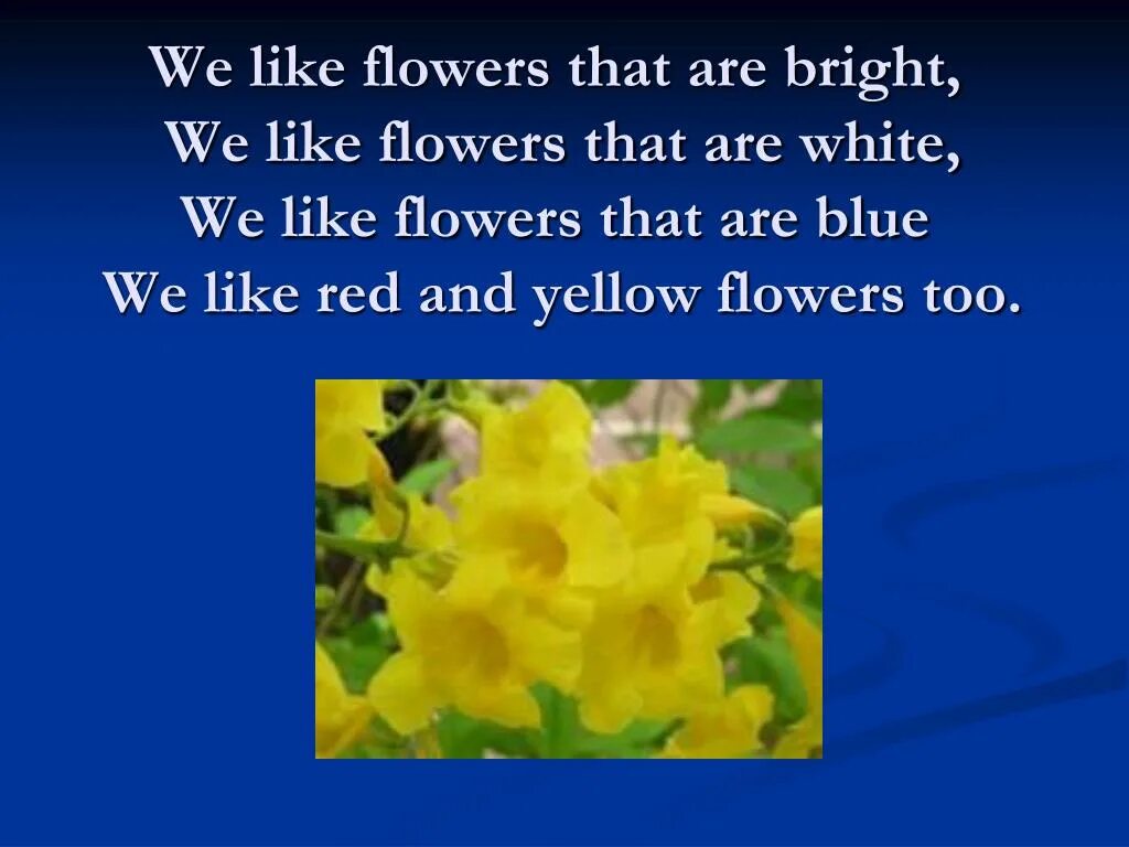 We like flowers. Стих Spring is Green Summer is Bright. Seasons презентация. Стих Spring is Green Summer is Bright autumn is Yellow Winter is White. Стих по английскому Spring is Green.