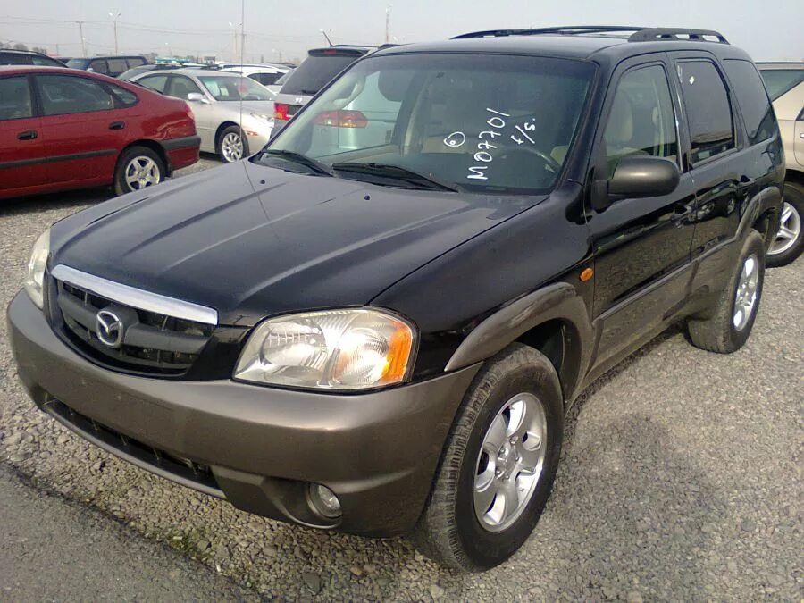 Куплю мазду 2003 год. Mazda Tribute 2003. Мазда Трибут 2003 год. Мазда трибьют 2003 года. Mazda Tribute 2012.