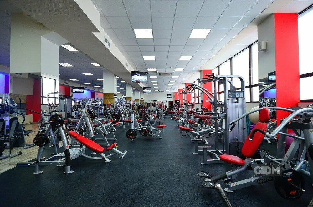 спарта коньково. тренажерный зал спарта полевской. спартанец тренажерный зал красноярск. тренажёрный зал спарта красноярск на мужества. антон бритва спарта.