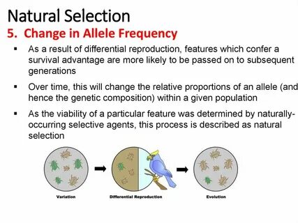 Selection effect