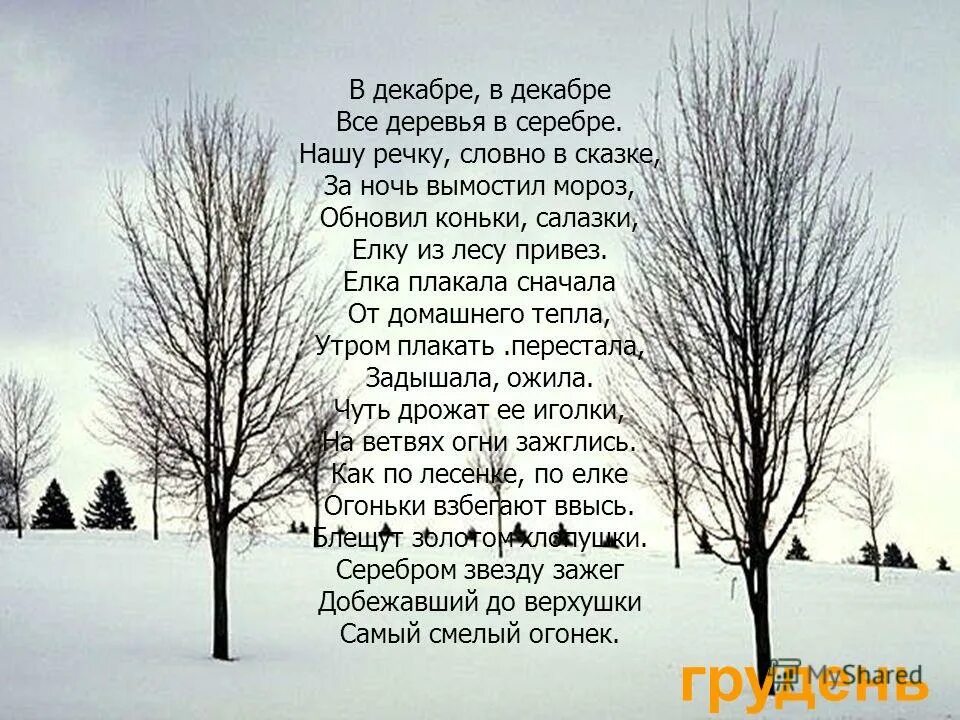 Деревья словно. Ровные прямые деревья. Дерево под луной. Раскидистый дуб. Сухое дерево.