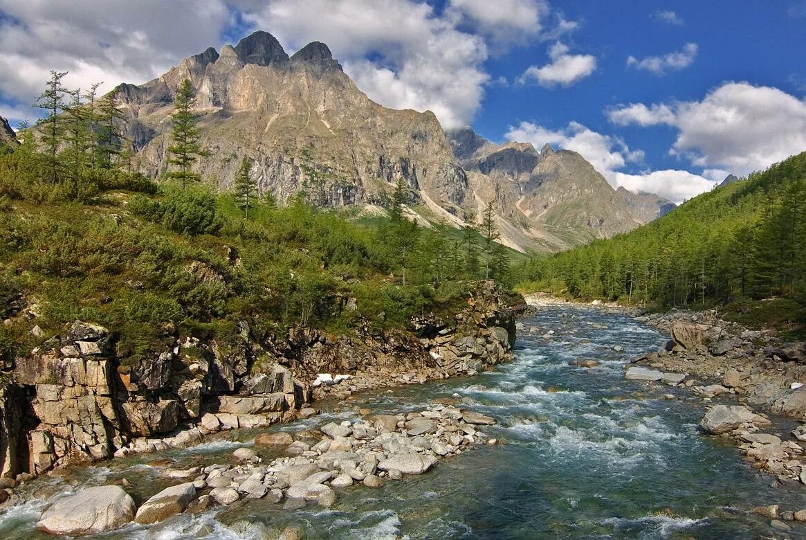 Алтай забайкальский край. Национальный парк Кодар Забайкальский край. Кодар хребет Забайкалье. Национальный парк Кодар Чара. Горы Кодар Забайкальский край.