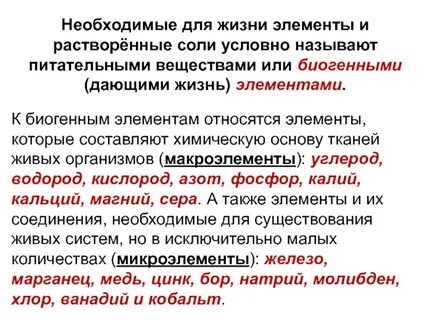 Их называют элементы жизни