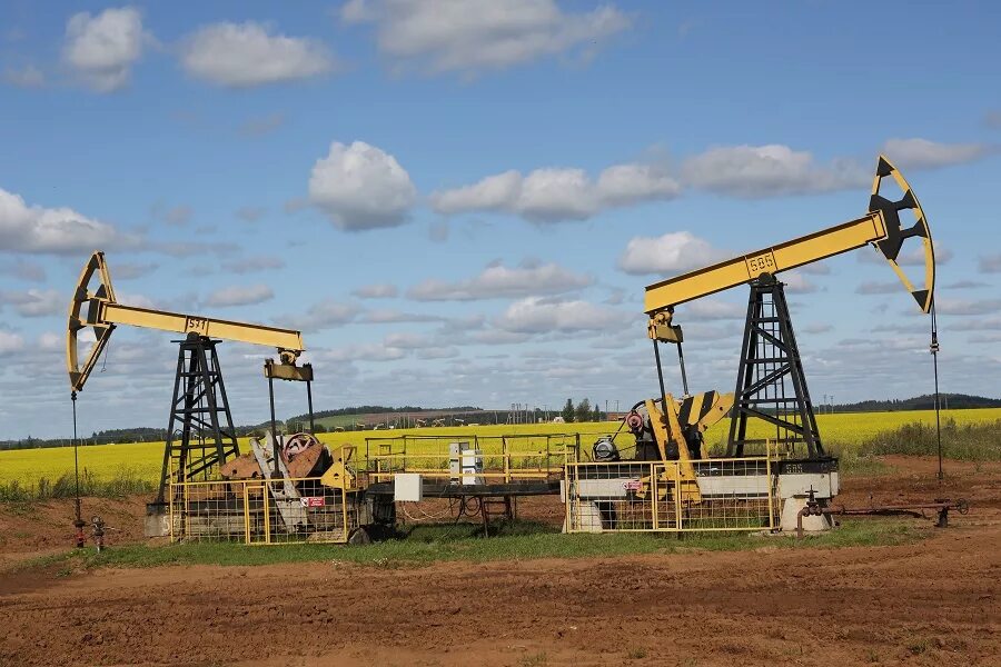 Нефть удмуртия месторождения. Ижевское месторождение удмуртнефть. Киенгопское месторождение нефти удмуртия. Месторождения удмуртнефти. Гремихинское месторождение удмуртия.