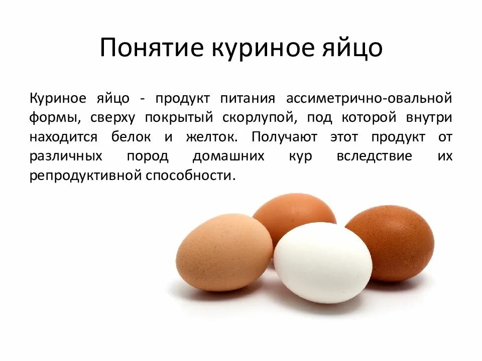 История про яйца. Яйцо куриное. Яйца и яичные продукты. Характеристика яиц и яичных продуктов. Доклад про яйца.