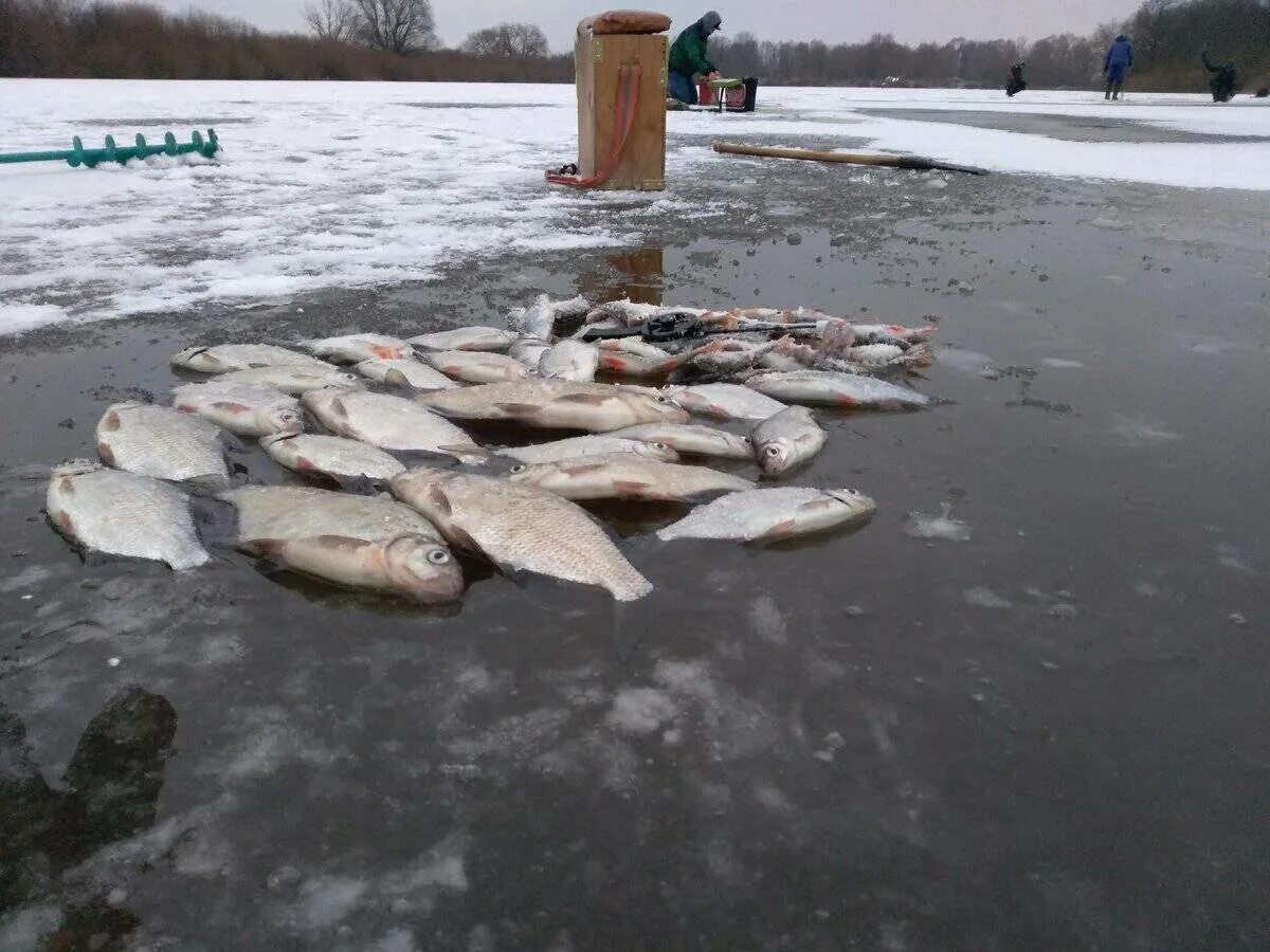 Обстановка в уды