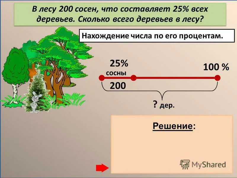 В парке 25 процентов всех деревьев составляют. В парке 25 процентов всех деревьев составляют