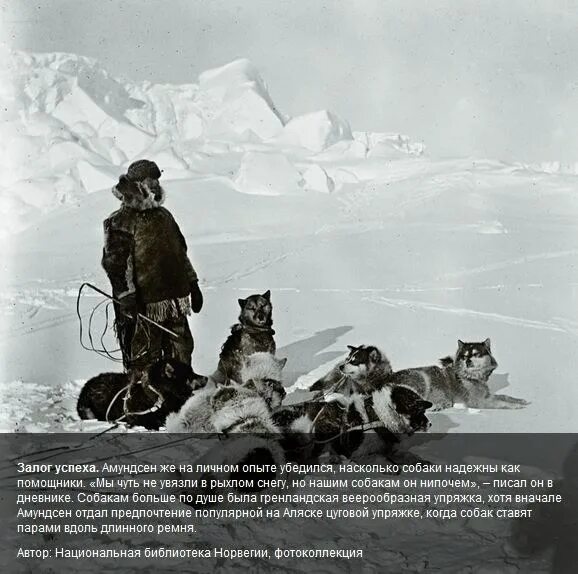 Опыт экспедиции. Маршрут путешественника руаль амундсен. Рауль амундсен экспедиция. Экспедиция руаля амундсена к южному полюсу. Опыт экспедиции.