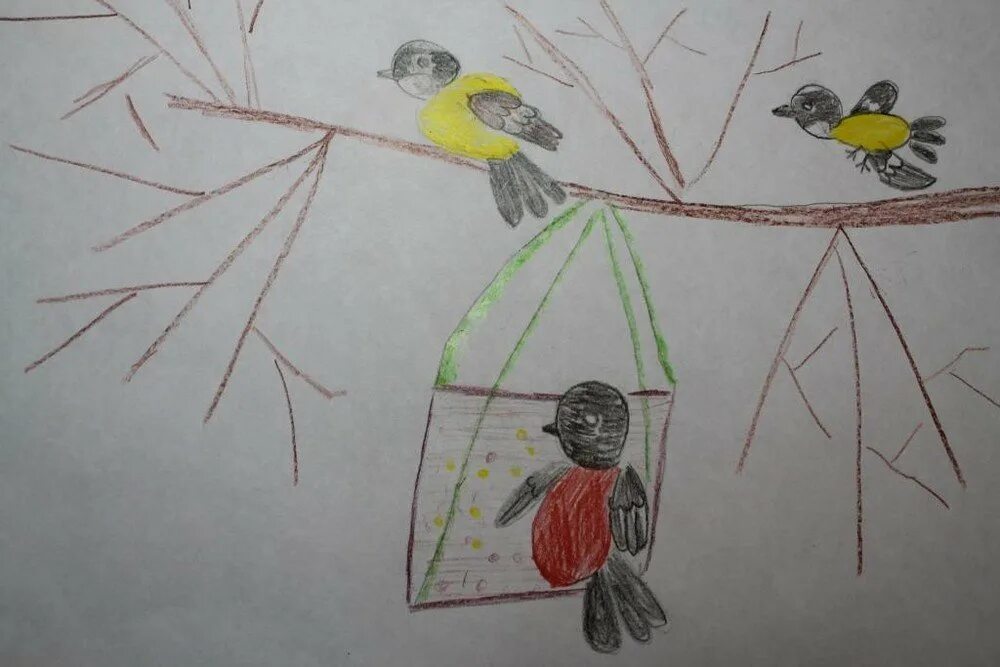 Рисование птицы на кормушке. Рисование кормушка для птиц средняя группа. Рисование птицы на кормушке в подготовительной группе. Рисование птицы в средней группе.