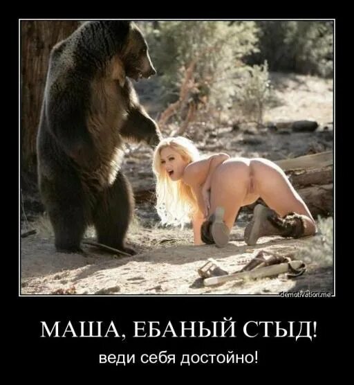 Секс Девушки И Настоящего Медведя