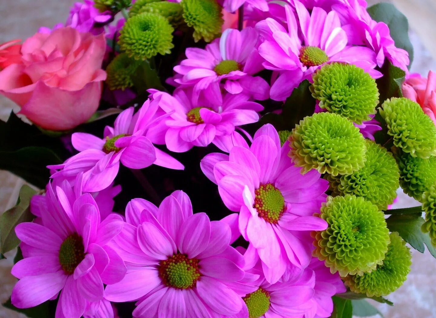 Хризантема Роуз. Хризантема кустовая Гранд Пинк. Яркие цветы. Красивые яркие цветы. Фото букета на телефон