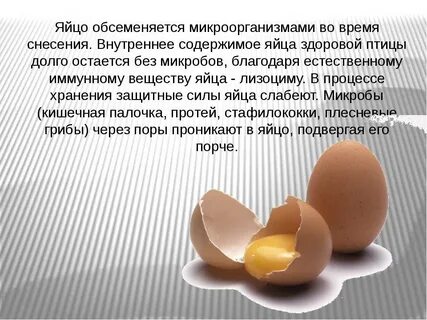 Почему яйцо выше