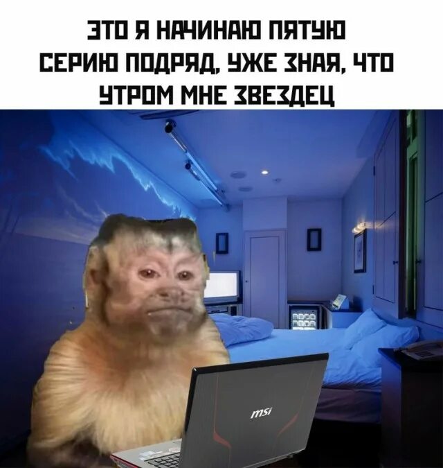 Свежие мемы с надписями. Популярные мемы на сегодняшний день. Лучшие мемы всех времен. Самые актуальные приколы. Мемы с надписями.