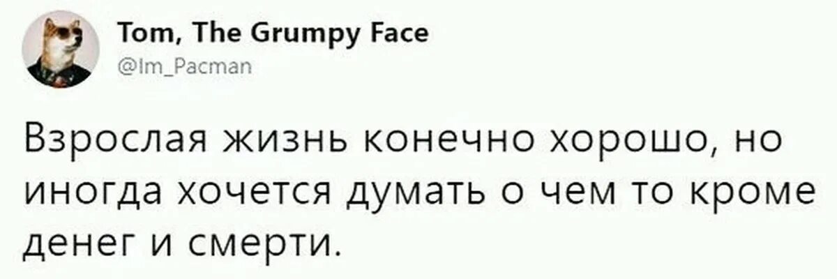 Взрослая жизнь читать. Мемы про взрослую жизнь. взрослая жизнь мем. приколы про взрослую жизнь. взрослая жизнь это конечно хорошо.