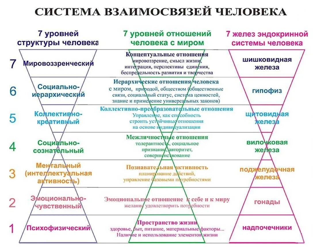 Уровни сознания человека. Уровни развития личности. Степени развития сознания. Уровни сознания личности.