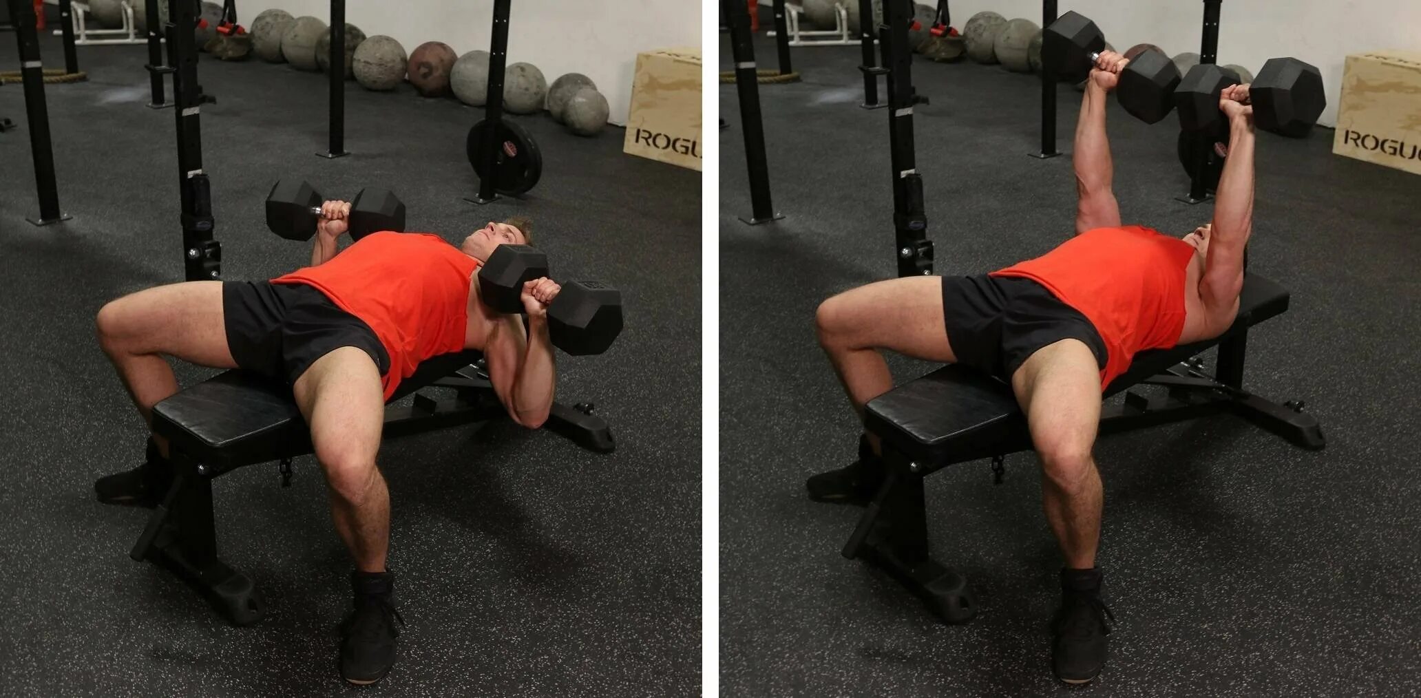 Жим Тейта. Упражнение Dumbbell Bench Press. Жим лежа с гантелями. Жим гантелей лежа. Жим гантелей лежа на горизонтальной