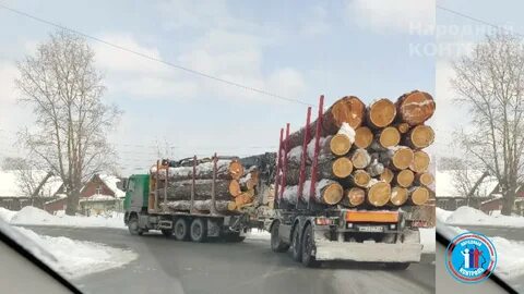 Матранга вывезли в лес видео