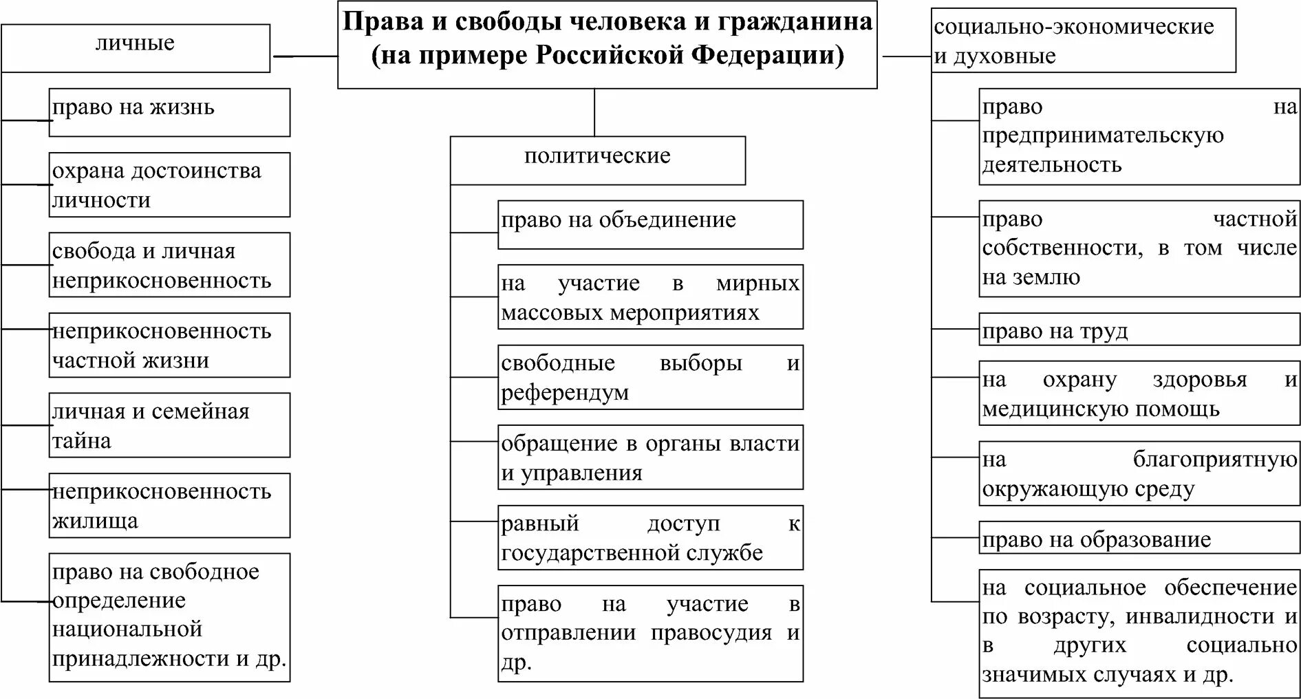 Заполните таблицу прав человека