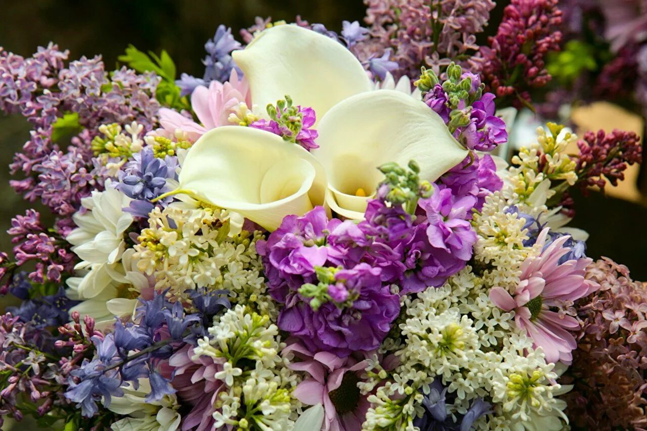 Цветы ото. Тюльпаны, гиацинты, хризантемы, пионы.. Цветы сирень букет. Весенний букет. Красивый весенний букет.