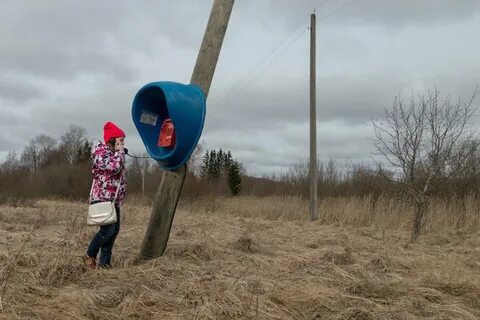 Погода белорусский пыталовский