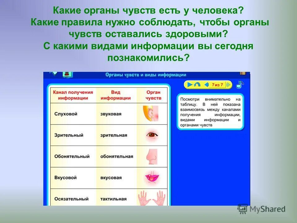 Органы чувств. Какие органы чувств есть у человека. Какие органы естьчуств. Какие есть чувства у человека.