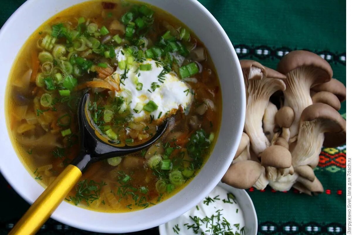 Вкусный суп с вешенками рецепт. Губница грибной суп. Вятская губница. Грибной суп с вешенками. Суп грибной с вешенок.