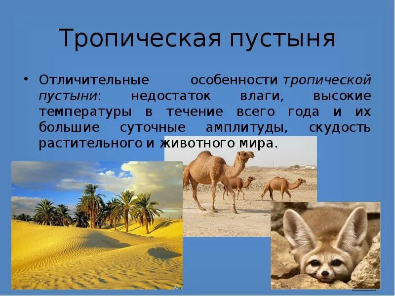 Тропические пустыни природная зона. Особенности тропической пустыни. Пустыни умеренного пояса. Природные зоны африки тропические пустыни. Пустыни тропического и умеренного поясов.