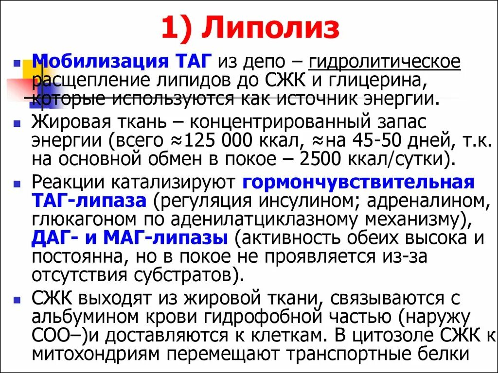 Процесс липолиза. Мобилизация жиров биохимия. Мобилизация таг в жировой ткани. Липолиз таг. Липолиз биохимия.